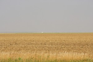 Fields along highway 50