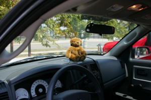 Buddy guarding the car.